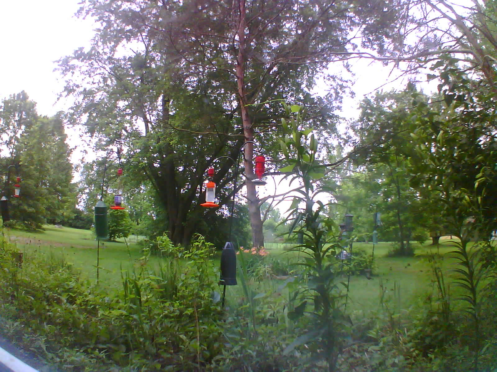 weathercam